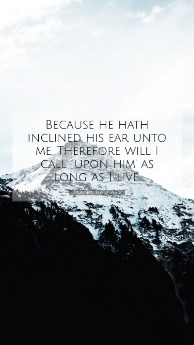 Picture 07 - Psalms 116:2 ASV Mobile Phone Wallpaper - Because he hath inclined his ear unto me, - Mobile Bible Verse Wallpaper