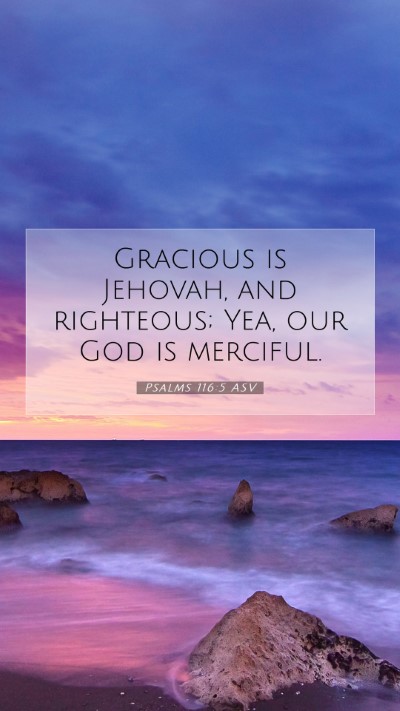 Picture 07 - Psalms 116:5 ASV Mobile Phone Wallpaper - Gracious is Jehovah, and righteous; Yea, our God - Mobile Bible Verse Wallpaper