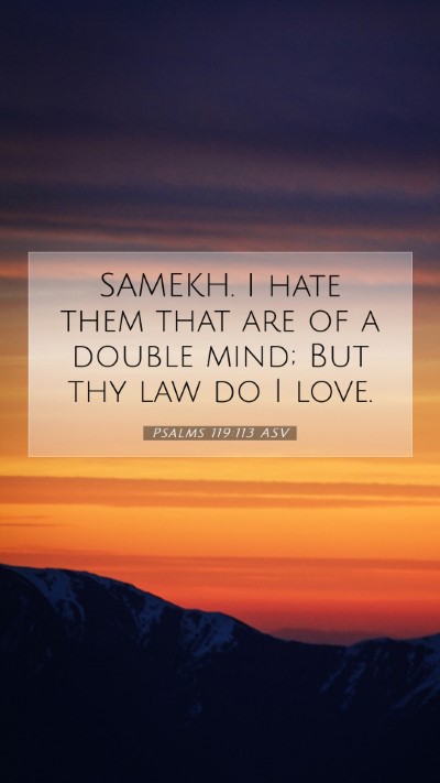 Picture 07 - Psalms 119:113 ASV Mobile Phone Wallpaper - SAMEKH. I hate them that are of a double mind; - Mobile Bible Verse Wallpaper