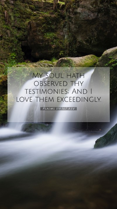 Picture 07 - Psalms 119:167 ASV Mobile Phone Wallpaper - My soul hath observed thy testimonies; And I love - Mobile Bible Verse Wallpaper
