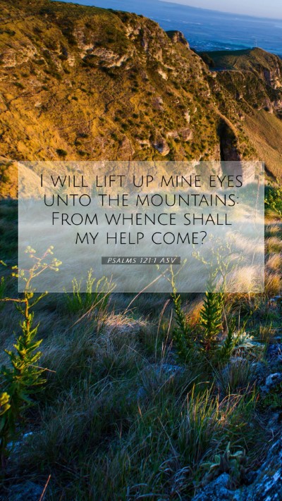 Picture 07 - Psalms 121:1 ASV Mobile Phone Wallpaper - I will lift up mine eyes unto the mountains: From - Mobile Bible Verse Wallpaper