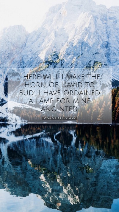 Picture 07 - Psalms 132:17 ASV Mobile Phone Wallpaper - There will I make the horn of David to bud: I - Mobile Bible Verse Wallpaper