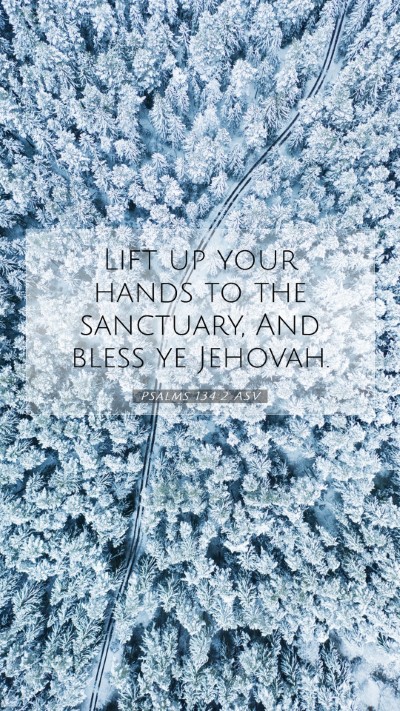 Picture 07 - Psalms 134:2 ASV Mobile Phone Wallpaper - Lift up your hands to the sanctuary, And bless ye - Mobile Bible Verse Wallpaper
