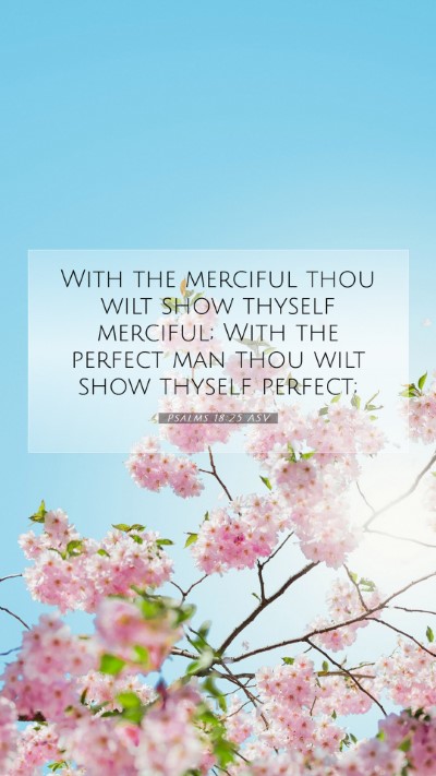 Picture 07 - Psalms 18:25 ASV Mobile Phone Wallpaper - With the merciful thou wilt show thyself - Mobile Bible Verse Wallpaper