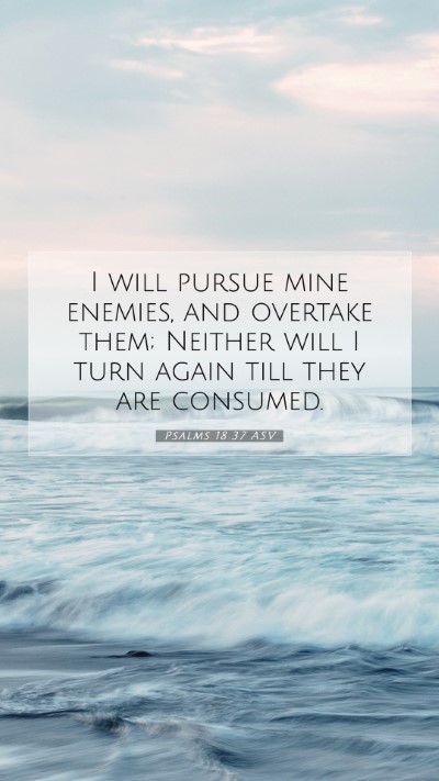 Picture 07 - Psalms 18:37 ASV Mobile Phone Wallpaper - I will pursue mine enemies, and overtake them; - Mobile Bible Verse Wallpaper