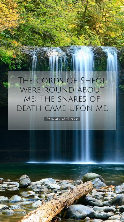 Picture 07 - Psalms 18:5 ASV Mobile Phone Wallpaper - The cords of Sheol were round about me; The - Mobile Bible Verse Wallpaper