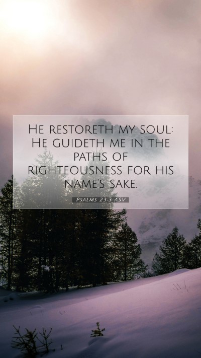 Picture 07 - Psalms 23:3 ASV Mobile Phone Wallpaper - He restoreth my soul: He guideth me in the paths - Mobile Bible Verse Wallpaper