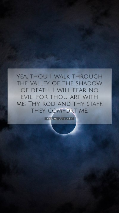 Picture 07 - Psalms 23:4 ASV Mobile Phone Wallpaper - Yea, thou I walk through the valley of the shadow - Mobile Bible Verse Wallpaper