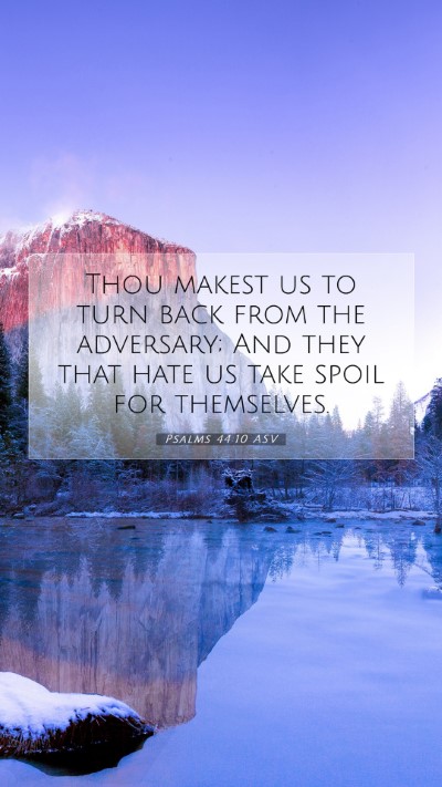 Picture 07 - Psalms 44:10 ASV Mobile Phone Wallpaper - Thou makest us to turn back from the adversary; - Mobile Bible Verse Wallpaper