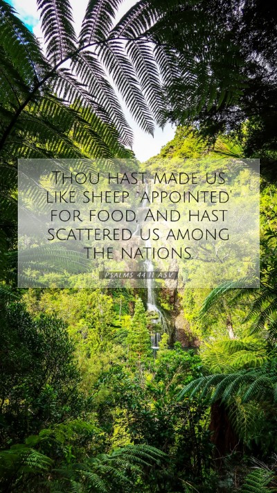 Picture 07 - Psalms 44:11 ASV Mobile Phone Wallpaper - Thou hast made us like sheep `appointed' for - Mobile Bible Verse Wallpaper