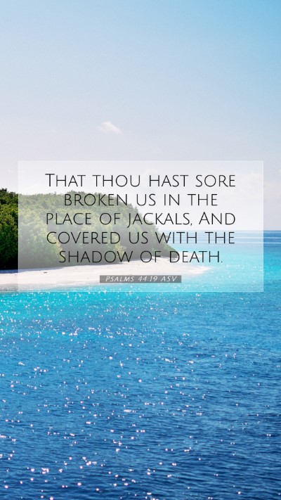 Picture 07 - Psalms 44:19 ASV Mobile Phone Wallpaper - That thou hast sore broken us in the place of - Mobile Bible Verse Wallpaper