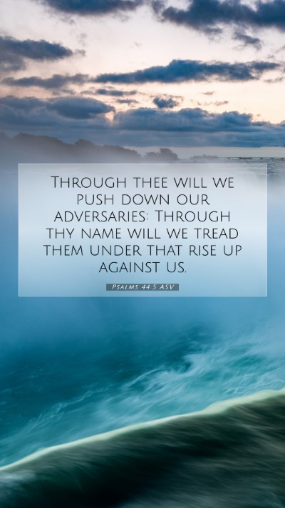 Picture 07 - Psalms 44:5 ASV Mobile Phone Wallpaper - Through thee will we push down our adversaries: - Mobile Bible Verse Wallpaper