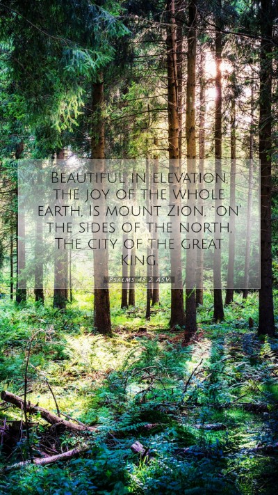 Picture 07 - Psalms 48:2 ASV Mobile Phone Wallpaper - Beautiful in elevation, the joy of the whole - Mobile Bible Verse Wallpaper