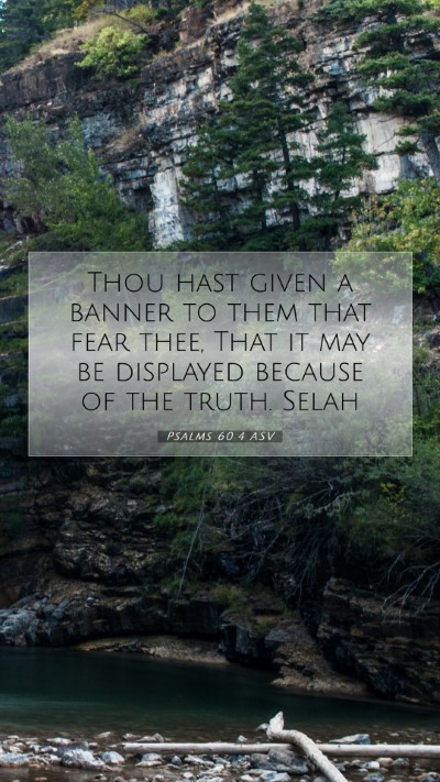 Picture 07 - Psalms 60:4 ASV Mobile Phone Wallpaper - Thou hast given a banner to them that fear thee, - Mobile Bible Verse Wallpaper