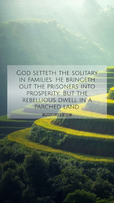 Picture 07 - Psalms 68:6 ASV Mobile Phone Wallpaper - God setteth the solitary in families: He bringeth - Mobile Bible Verse Wallpaper