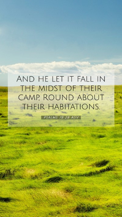 Picture 07 - Psalms 78:28 ASV Mobile Phone Wallpaper - And he let it fall in the midst of their camp, - Mobile Bible Verse Wallpaper