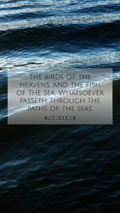 Picture 07 - Psalms 8:8 ASV Mobile Phone Wallpaper - The birds of the heavens, and the fish of the - Mobile Bible Verse Wallpaper