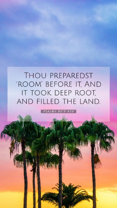 Picture 07 - Psalms 80:9 ASV Mobile Phone Wallpaper - Thou preparedst `room' before it, And it took - Mobile Bible Verse Wallpaper