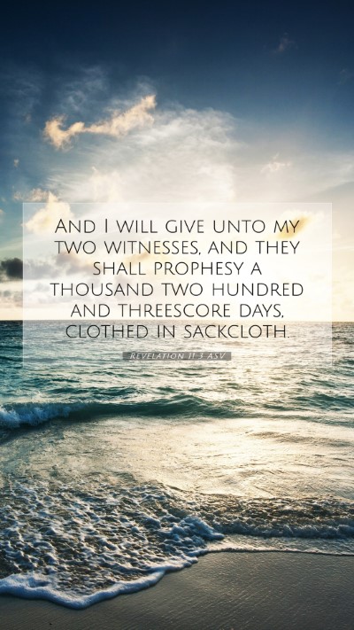 Picture 07 - Revelation 11:3 ASV Mobile Phone Wallpaper - And I will give unto my two witnesses, and they - Mobile Bible Verse Wallpaper