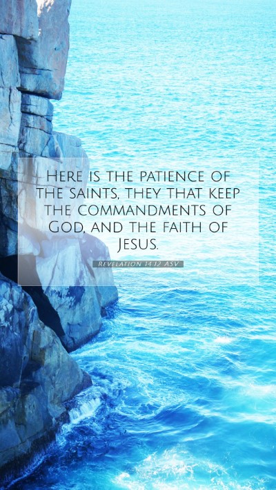 Picture 07 - Revelation 14:12 ASV Mobile Phone Wallpaper - Here is the patience of the saints, they that - Mobile Bible Verse Wallpaper