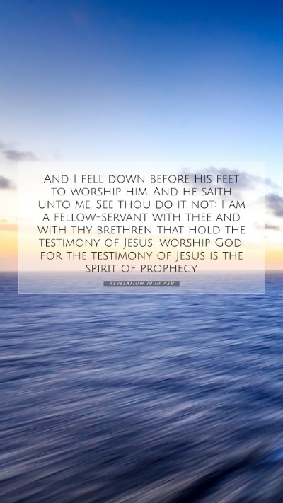 Picture 07 - Revelation 19:10 ASV Mobile Phone Wallpaper - And I fell down before his feet to worship him. - Mobile Bible Verse Wallpaper