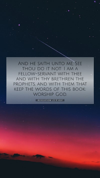 Picture 07 - Revelation 22:9 ASV Mobile Phone Wallpaper - And he saith unto me, See thou do it not: I am a - Mobile Bible Verse Wallpaper