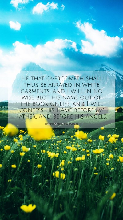 Picture 07 - Revelation 3:5 ASV Mobile Phone Wallpaper - He that overcometh shall thus be arrayed in white - Mobile Bible Verse Wallpaper