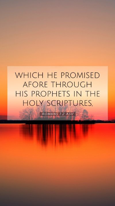 Picture 07 - Romans 1:2 ASV Mobile Phone Wallpaper - which he promised afore through his prophets in - Mobile Bible Verse Wallpaper