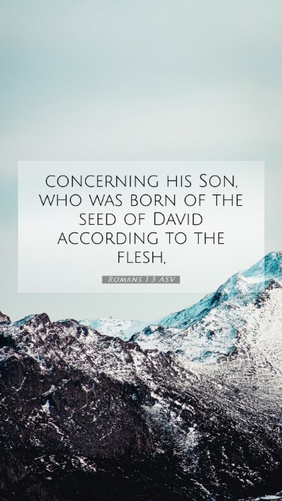 Picture 07 - Romans 1:3 ASV Mobile Phone Wallpaper - concerning his Son, who was born of the seed of - Mobile Bible Verse Wallpaper