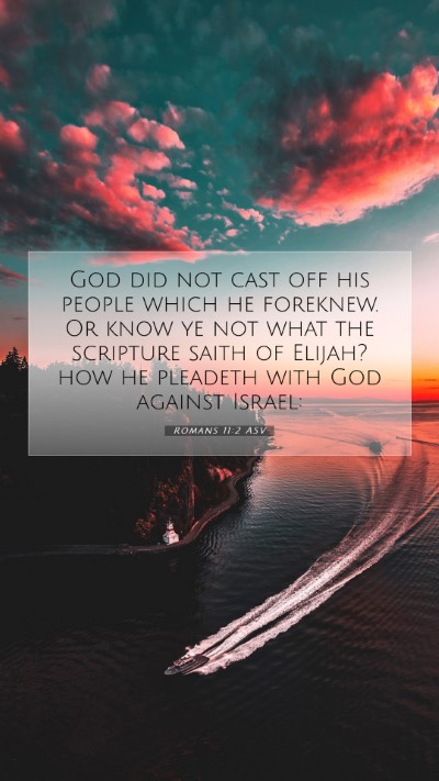 Picture 07 - Romans 11:2 ASV Mobile Phone Wallpaper - God did not cast off his people which he - Mobile Bible Verse Wallpaper