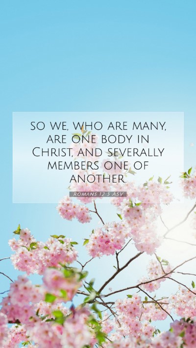 Picture 07 - Romans 12:5 ASV Mobile Phone Wallpaper - so we, who are many, are one body in Christ, and - Mobile Bible Verse Wallpaper