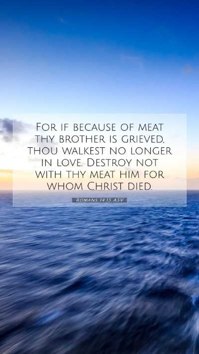 Picture 07 - Romans 14:15 ASV Mobile Phone Wallpaper - For if because of meat thy brother is grieved, - Mobile Bible Verse Wallpaper
