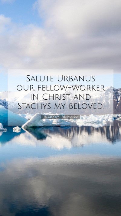 Picture 07 - Romans 16:9 ASV Mobile Phone Wallpaper - Salute Urbanus our fellow-worker in Christ, and - Mobile Bible Verse Wallpaper