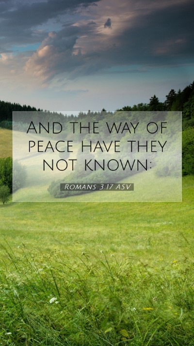Picture 07 - Romans 3:17 ASV Mobile Phone Wallpaper - And the way of peace have they not - Mobile Bible Verse Wallpaper