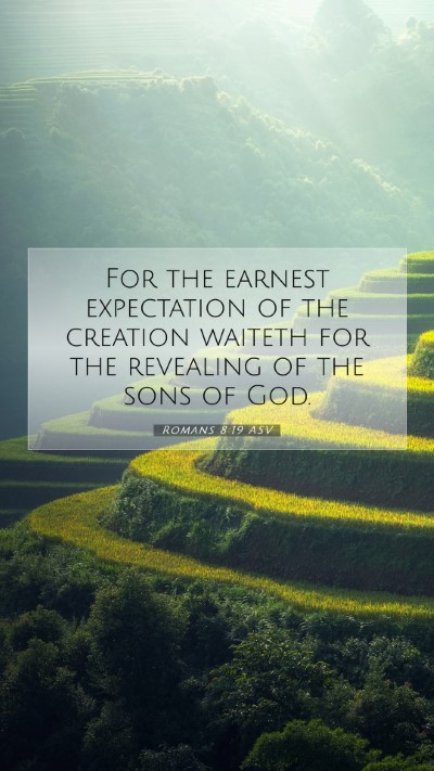 Picture 07 - Romans 8:19 ASV Mobile Phone Wallpaper - For the earnest expectation of the creation - Mobile Bible Verse Wallpaper