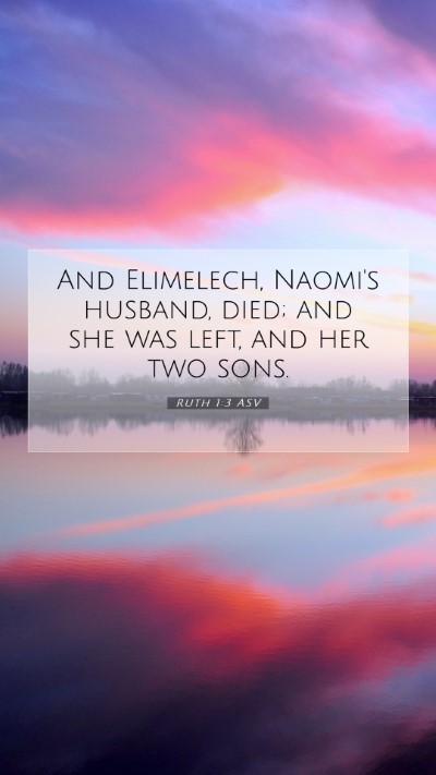 Picture 07 - Ruth 1:3 ASV Mobile Phone Wallpaper - And Elimelech, Naomi's husband, died; and she was - Mobile Bible Verse Wallpaper