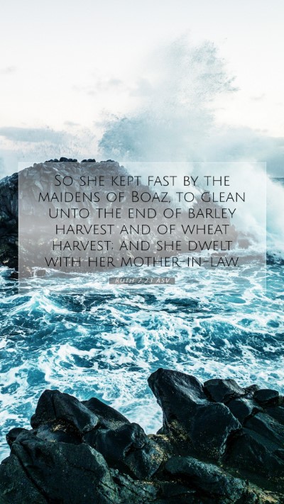 Picture 07 - Ruth 2:23 ASV Mobile Phone Wallpaper - So she kept fast by the maidens of Boaz, to glean - Mobile Bible Verse Wallpaper