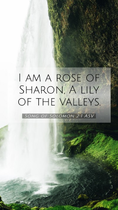 Picture 07 - Song of Solomon 2:1 ASV Mobile Phone Wallpaper - I am a rose of Sharon, A lily of the - Mobile Bible Verse Wallpaper