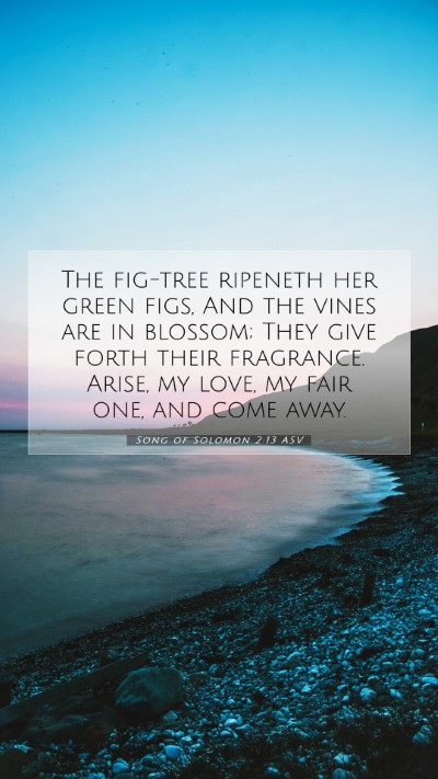 Picture 07 - Song of Solomon 2:13 ASV Mobile Phone Wallpaper - The fig-tree ripeneth her green figs, And the - Mobile Bible Verse Wallpaper
