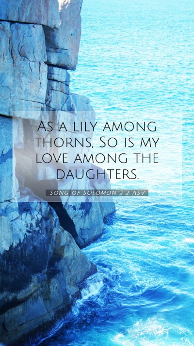 Picture 07 - Song of Solomon 2:2 ASV Mobile Phone Wallpaper - As a lily among thorns, So is my love among the - Mobile Bible Verse Wallpaper