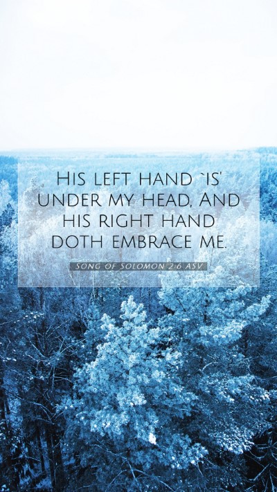 Picture 07 - Song of Solomon 2:6 ASV Mobile Phone Wallpaper - His left hand `is' under my head, And his right - Mobile Bible Verse Wallpaper