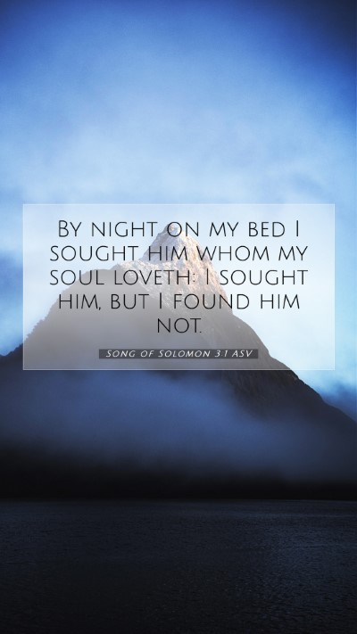 Picture 07 - Song of Solomon 3:1 ASV Mobile Phone Wallpaper - By night on my bed I sought him whom my soul - Mobile Bible Verse Wallpaper