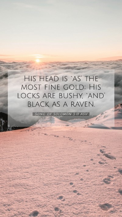 Picture 07 - Song of Solomon 5:11 ASV Mobile Phone Wallpaper - His head is `as' the most fine gold; His locks - Mobile Bible Verse Wallpaper