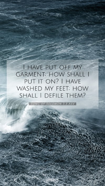 Picture 07 - Song of Solomon 5:3 ASV Mobile Phone Wallpaper - I have put off my garment; how shall I put it on? - Mobile Bible Verse Wallpaper