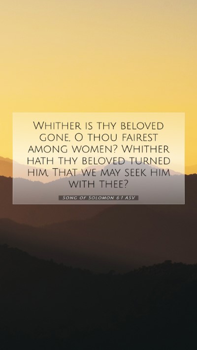 Picture 07 - Song of Solomon 6:1 ASV Mobile Phone Wallpaper - Whither is thy beloved gone, O thou fairest among - Mobile Bible Verse Wallpaper