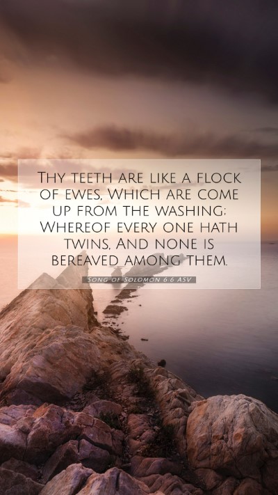 Picture 07 - Song of Solomon 6:6 ASV Mobile Phone Wallpaper - Thy teeth are like a flock of ewes, Which are - Mobile Bible Verse Wallpaper