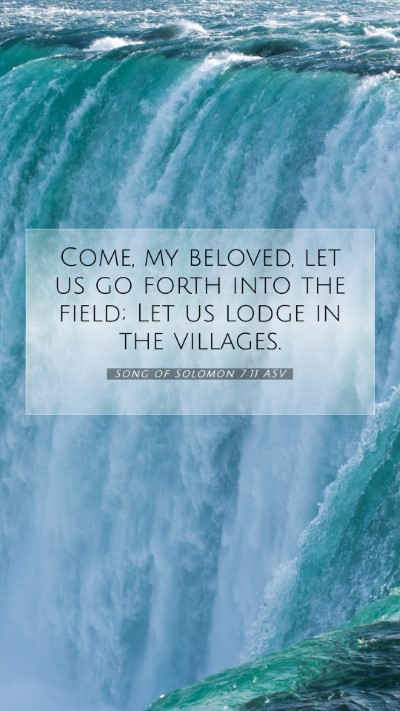 Picture 07 - Song of Solomon 7:11 ASV Mobile Phone Wallpaper - Come, my beloved, let us go forth into the field; - Mobile Bible Verse Wallpaper