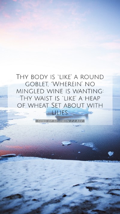 Picture 07 - Song of Solomon 7:2 ASV Mobile Phone Wallpaper - Thy body is `like' a round goblet, `Wherein' no - Mobile Bible Verse Wallpaper