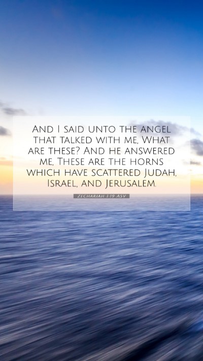 Picture 07 - Zechariah 1:19 ASV Mobile Phone Wallpaper - And I said unto the angel that talked with me, - Mobile Bible Verse Wallpaper