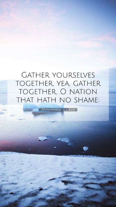 Picture 07 - Zephaniah 2:1 ASV Mobile Phone Wallpaper - Gather yourselves together, yea, gather together, - Mobile Bible Verse Wallpaper